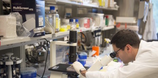 Testing blood metabolites could help tailor cancer treatment