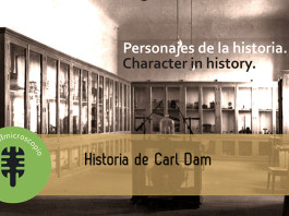 Historia de Carl Dam