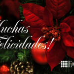 ft-navidadsmall