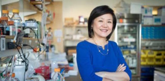 Flashing lights could fight Alzheimer’s