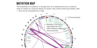 Algorithms compete to predict recipe for cancer vaccine