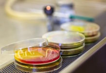 Personal de salud: Portador de Staphylococcus aureus en la mucosa nasal