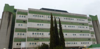 Bacterias activan a las células NK para acabar con el cáncer de vejiga