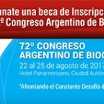sorteo
