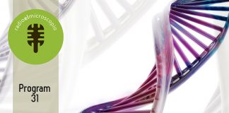 El Microscopio – Program 31