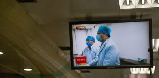 Containing new coronavirus may not be feasible, experts say, as they warn of possible sustained global spread