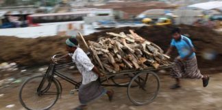 Por qué tantas epidemias se originan en Asia y África