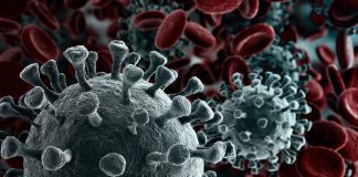 Vencer a COVID-19 a través de la investigación genómica