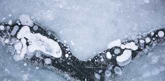 Francisella tularensis puede permanecer virulenta durante meses en agua helada