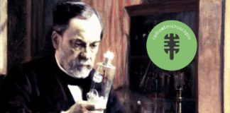 Bloque de ciencia. Louis Pasteur.
