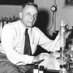 OTTO HEINRICH Warburg