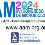 21 agosto 2024