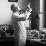 Alexander-Fleming-
